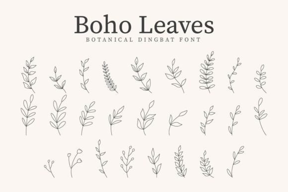 Boho Leaves Font Review