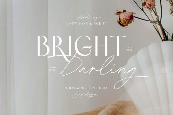 Bright Darling Duo Font for Web Design