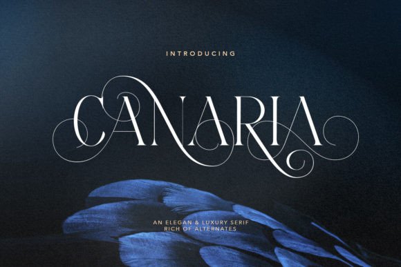 Canaria: A Serif Font for Elegant Branding